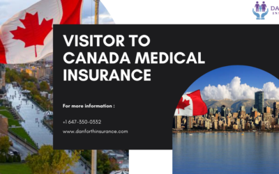 Comparative Analysis: Super Visa Insurance vs. Work Visa Medical Insurance