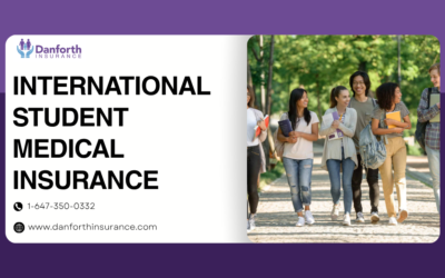 Reasons Travel Services Offers The Best Medical-Insurance Package Guidance