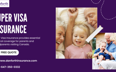 6 Things that You Should Consider While Purchasing Super Visa Insurance Plan